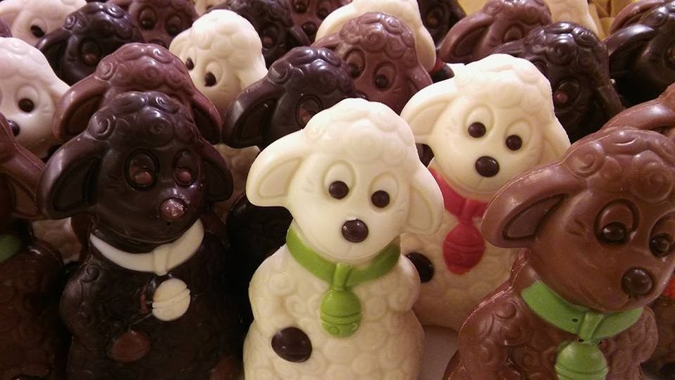 Goedemorgen namens deze schatjes…..