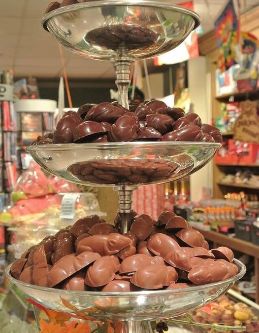 WIN-ACTIE…