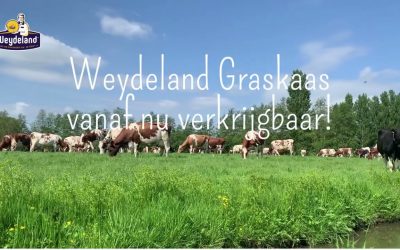 Weydeland Graskaas